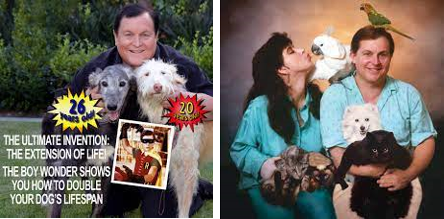 How Batman's Burt Ward Went from Robin Actor to Dog Rescuer